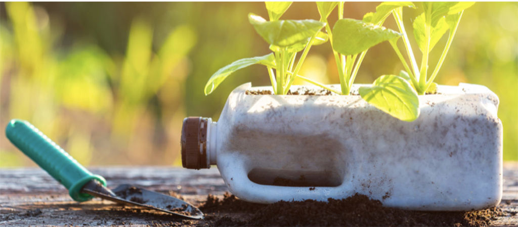 bottle with plant